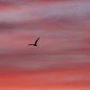 Himmel über Pfullingen 28.09.2016
