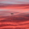 Himmel über Pfullingen 28.09.2016