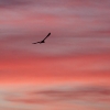 Himmel über Pfullingen 28.09.2016