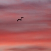 Himmel über Pfullingen 28.09.2016