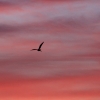 Himmel über Pfullingen 28.09.2016