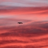 Himmel über Pfullingen 28.09.2016