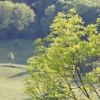 Pfullingen Sonnenbau 04.06.2013