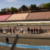 Preis der Stadt Stuttgart Hockenheimring