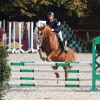 22-1dfh-12102014-021