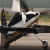 1dfh-rbar-lausitz-05082010-010
