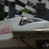 1dfh-rbar-lausitz-05082010-029