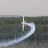 1dfh-rbar-lausitz-07082010-020