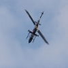 1dfh-rbar-lausitz-08082010-053