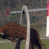 p-20141024-00203_news