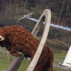 p-20141024-00209_news