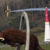 p-20141024-00210_news