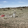 p-20120726-00010_news