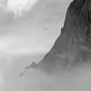 Red Bull X-Alps 2011