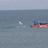 Rettungsübung Friedrichshafen