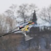 1dfh-rotor-live-115