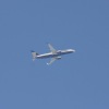 1dfh-rotor-live-117