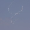 1dfh-rotor-live-135