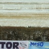 1dfh-rotor-live-153
