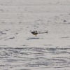 1dfh-rotor-live-73