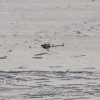 1dfh-rotor-live-75
