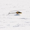 1dfh-rotor-live-91