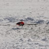 1dfh-rotor-live-93