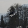 1dfh-rotor-live-96