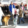 img_1078-1