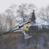 1dfh-rotor-live-115