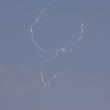 1dfh-rotor-live-135