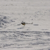 1dfh-rotor-live-69