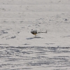 1dfh-rotor-live-72