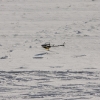 1dfh-rotor-live-75