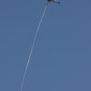 1dfh-rotor-live-9