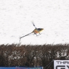 1dfh-rotor-live-90