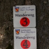 Salzmann Cup Hayingen