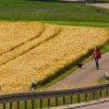 Salzmann Cup Hayingen