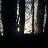 Schönberg 08.03.2014