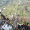 Schönberg 08.03.2014