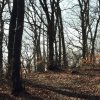 Schönberg 08.03.2014