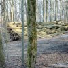 Schönberg 08.03.2014