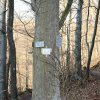 Schönberg 08.03.2014