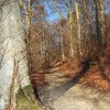 Schönberg 08.03.2014