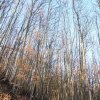 Schönberg 08.03.2014