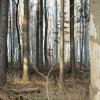 Schönberg 08.03.2014