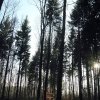 Schönberg 08.03.2014
