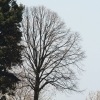 Schönberg 08.03.2014