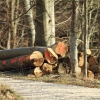 Schönberg 08.03.2014