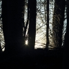 Schönberg 08.03.2014